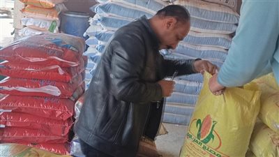 محافظ الغربية: تشديد الرقابة التموينية وتحرير 46 مخالفة للمخابز خلال 24 ساعة