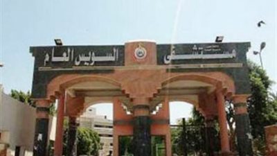 إصابة طفلين بعقر كلب وخربشة قطة ضالة في السويس.. وتحذيرات للأهالي