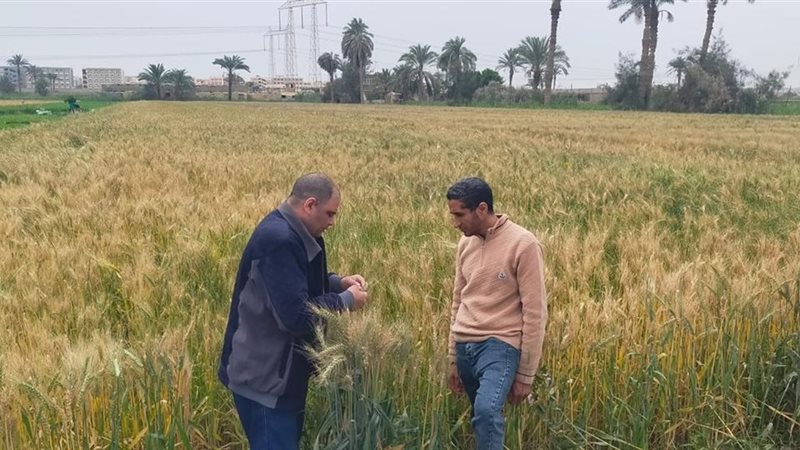 جانب من المتابعة