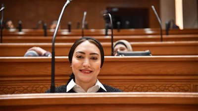 نائبة تتقدم بطلب إحاطة بسبب تعطل خدمات التأمينات الإلكترونية