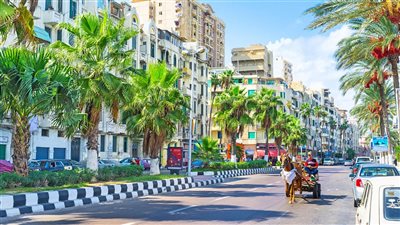 الأصل والفصل| شم النسيم.. مهرجان الربيع المصري بين التاريخ والتقاليد
