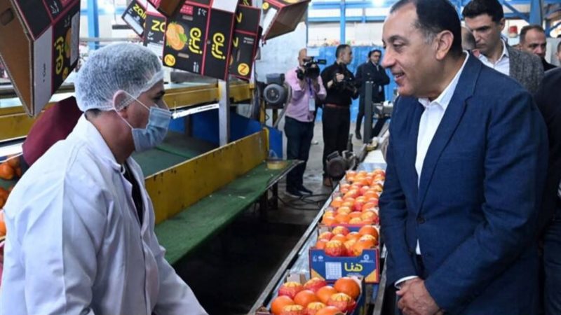 الجولات الميدانية