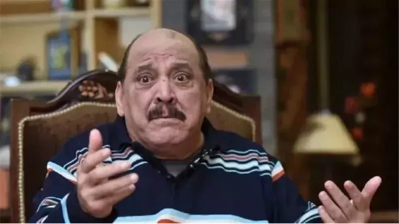 ضياء الميرغني
