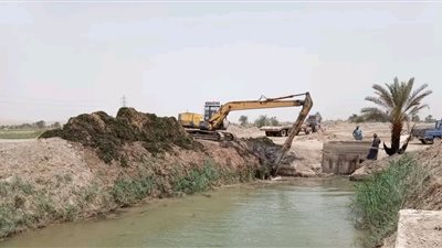 محافظ أسوان يشيد بنجاح موسم الزراعة الشتوي وتكامل الجهود يضمن استقرار المنظومة
