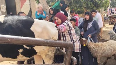 قافلة بيطرية مجانية بكفر الباجة تعالج 941 حالة من الطيور والماشية في الغربية