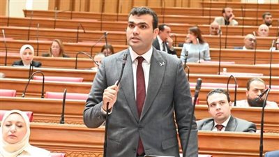 حسين هريدي يطالب بكشف إنجازات تنمية الصعيد وتقييم المشروعات التنمية بالمحافظات