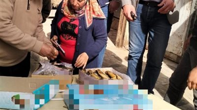 ضبط نصف طن أسماك فاسدة بمراكز محافظة المنوفية في حملة مكبرة