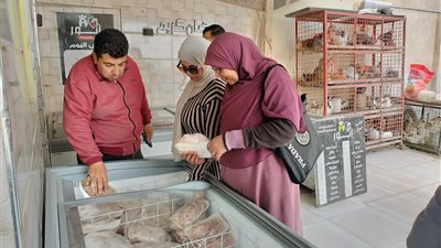 حملات تموينية مكثفة بدمياط تضبط 60 مخالفة بالمخابز والأسواق في يوم واحد