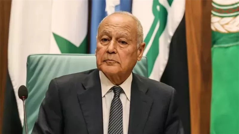 أحمد أبو الغيط
