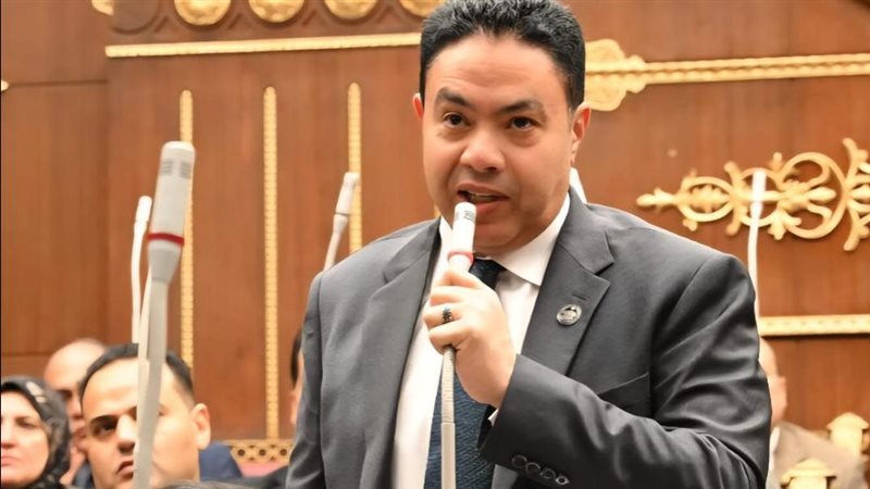  النائب إسماعيل الشرقاوي