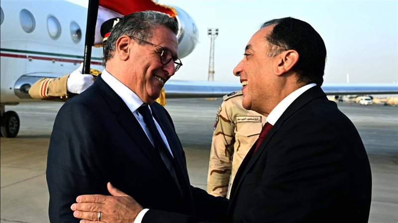 جانب من الاستقبال
