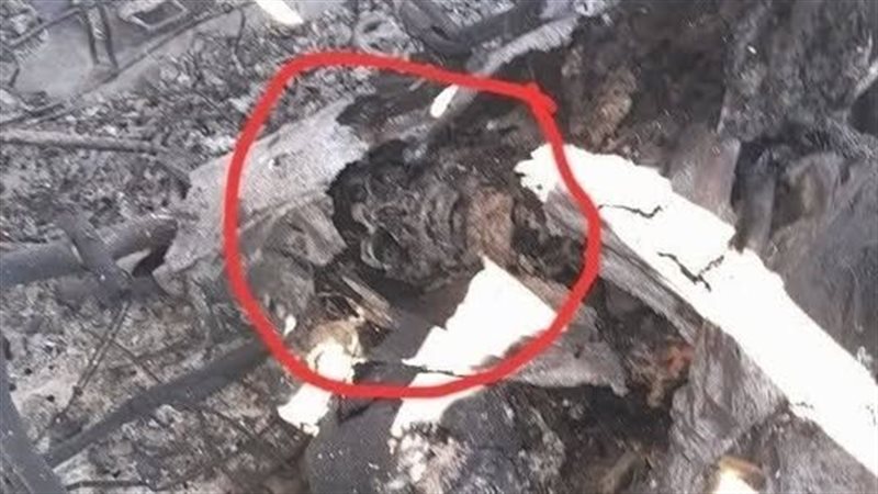الحرس الثوري ينشر