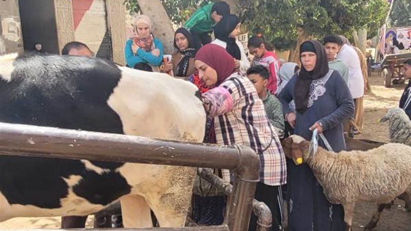 جانب من الحملة 