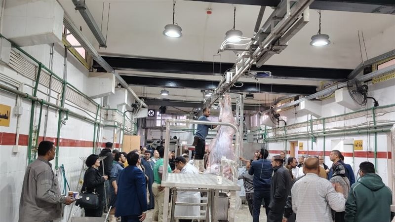 وزيرة التنمية المحلية