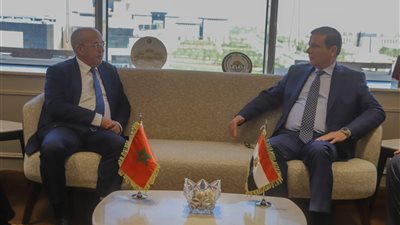 وزير الزراعة يبحث مع نظيره المغربي آفاق التكامل وتعزيز الاستثمارات الزراعية 