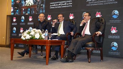 وزير الزراعة يستعرض استراتيجية الأمن الغذائي بمجلس الأعمال المصري الكندي