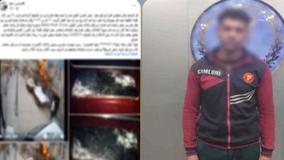 ضبط شخصين اعتديا على نجل عمهما وحطما كاميرات منزله بالدقهلية