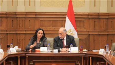 وزيرة التضامن والهلال الأحمر يناقشان استعدادات مصر لمواجهة الأزمات الإنسانية