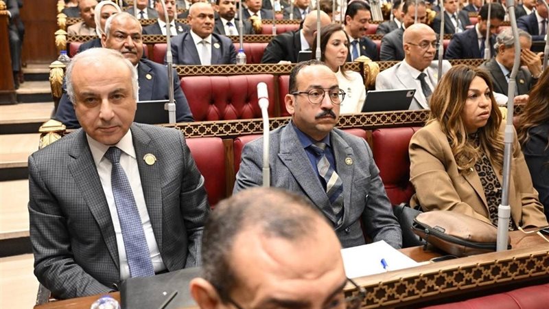 النائب عبد العاطي