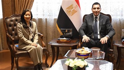 وزير الشباب والرياضة يبحث مع ممثل الأمم المتحدة الإنمائي سبل تعزيز التعاون