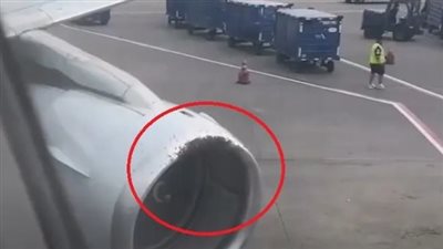 حادث غريب.. رحلة أمريكية تتأخر بعد تسلل سرب نحل إلى محرك الطائرة