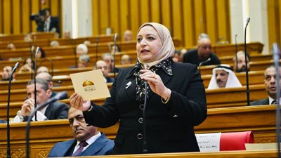 سحر عتمان تسأل الحكومة عن آليات إلزام القطاع الخاص بتطبيق الحد الأدنى للأجور