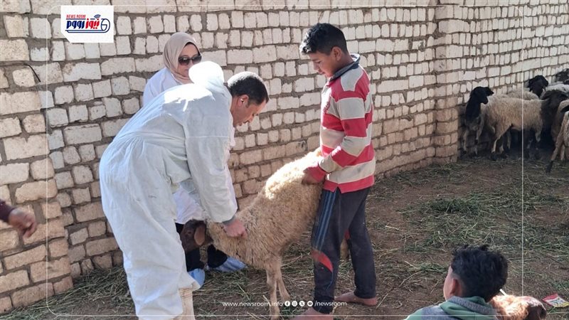 تحصين الماشية 