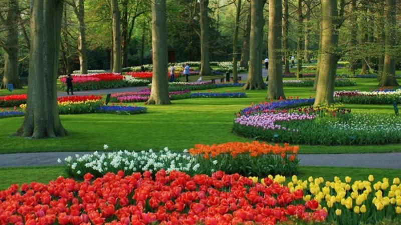 معرض ظهور الربيع