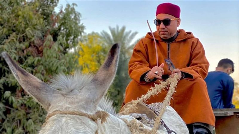 الدكتور محمد إبراهيم