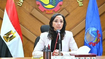 محافظ البحيرة: ترشيد الكهرباء وتعزيز النظافة ضمن أولويات المحافظة