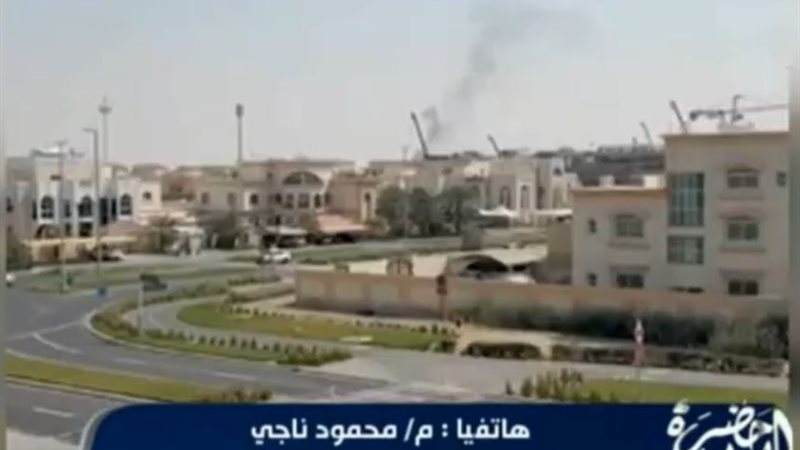 محمود ناجي 