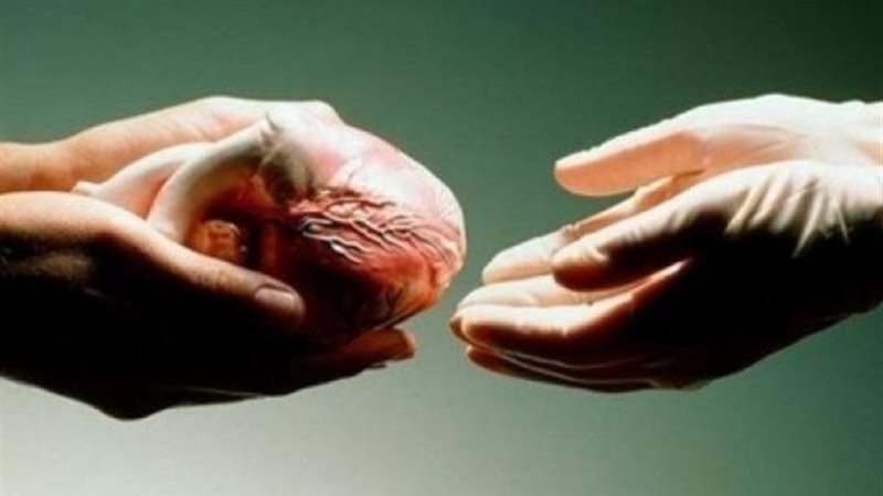 التبرع بالأعضاء..