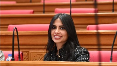 وكيل خارجية النواب: مصر تلعب دورا محوريا في تهدئة الأزمة واشنطن وطهران