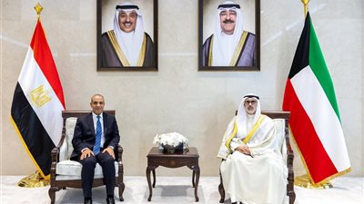وزير الخارجية يؤكد تضامن مصر الكامل مع دولة الكويت 