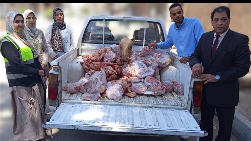 مفتشي الحملة 