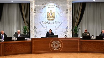 رئيس الوزراء: توجيهات من الرئيس السيسي بالتوسع في الاعتماد على الطاقة الشمسية