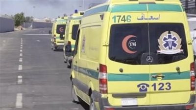 ضربه بآلة حادة.. إصابة شخص بجروح متفرقة بالرأس إثر مشاجرة بالدقهلية 