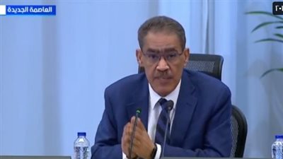 ضياء رشوان: الشهر القادم ستكون مصر قد سددت 6.1 مليار دولار من ديون الوقود