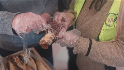 محافظ الدقهلية يتابع أعمال لجنة للتفتيش على محلات الفسيخ والرنجة