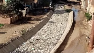 أهالي قرية شبلنجة ببنها يستغيثون بسبب تلوث ترعة الري وتهديد الصحة العامة