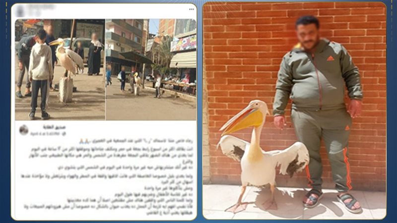 المتهم 