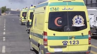 إصابة 5 أشخاص في حادث انقلاب تروسيكل على طريق السنبلاوين بالدقهلية