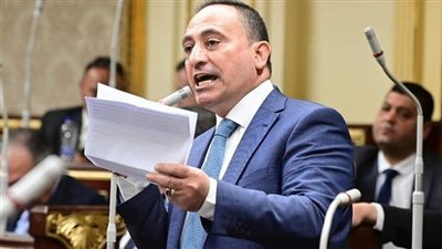 طلب إحاطة لبدء تصنيع المواد الخام محليًا فورًا وإنهاء الاعتماد على الاستيراد
