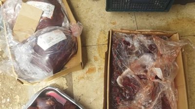 محافظ أسيوط: تحرير 2769 محضرا تموينيا خلال شهر بحملات مكثفة على الأسواق والمخابز