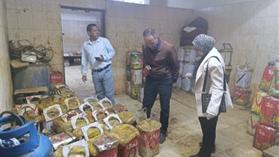 محافظ أسيوط: ضبط 700 كيلو فسيخ وأسماك مملحة غير صالحة خلال حملات مكثفة بأبوتيج
