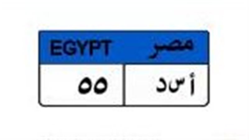 لوحة مميزة