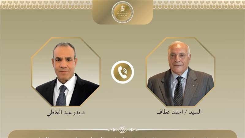 وزيرا خارجية مصر