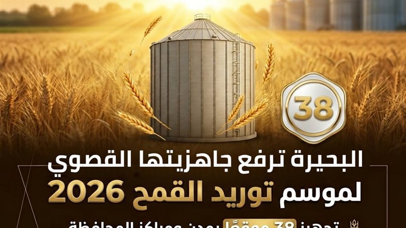موسم توريد القمح