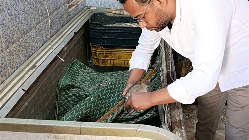 حملات رقابية بأسوان