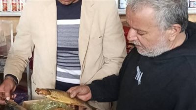حملات تموينية مكثفة على محلات الأسماك والفسيخ والرنجة بالبحيرة